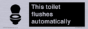 this-toilet-flushes-automatically~